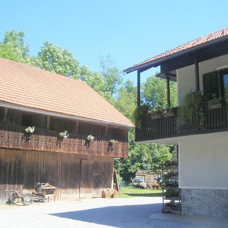 Guest House Kmetija Dane 외부 사진